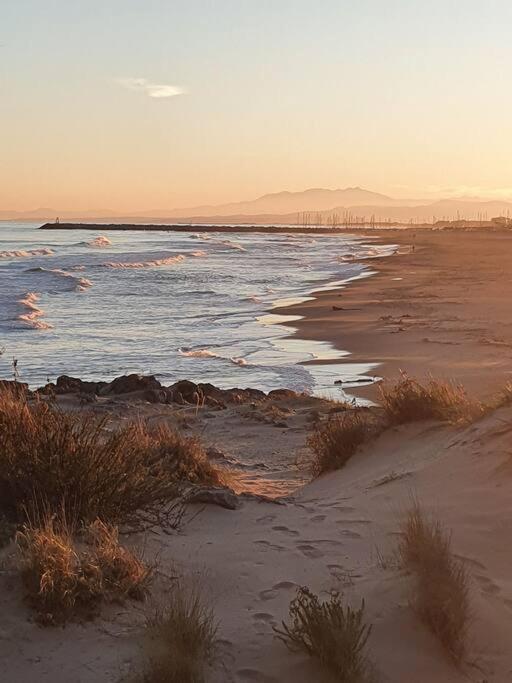 T2 Cosy A La Plage, Terrasse Vue Sur Mer Et Parking Privatif Narbonne Eksteriør billede